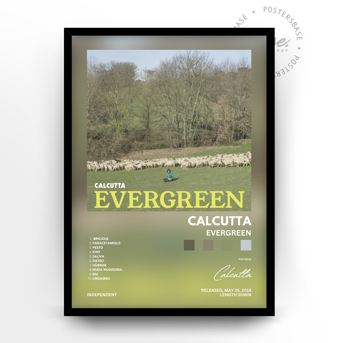 Calcutta 'Evergreen'