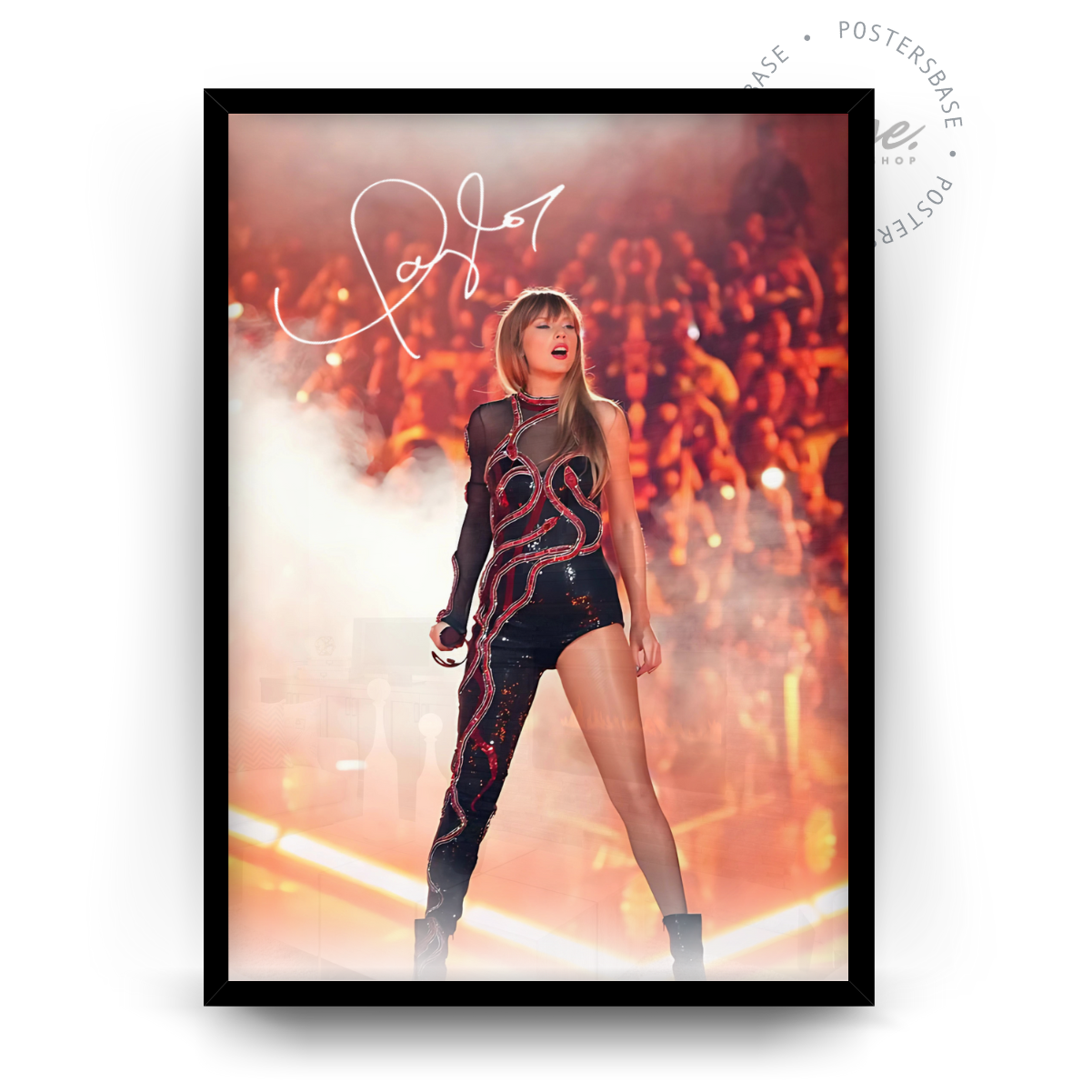 Taylor Swift Concert