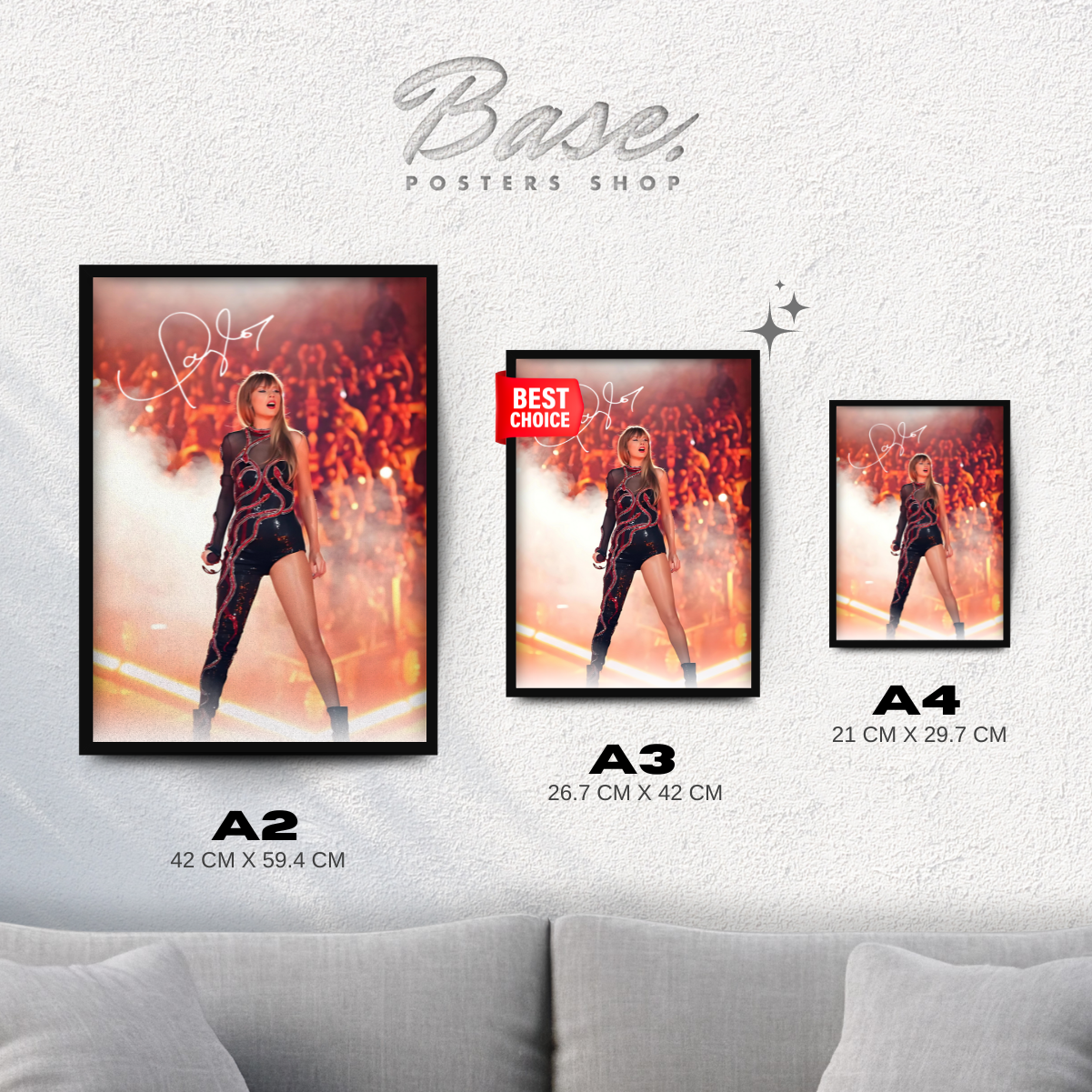 Taylor Swift Concert